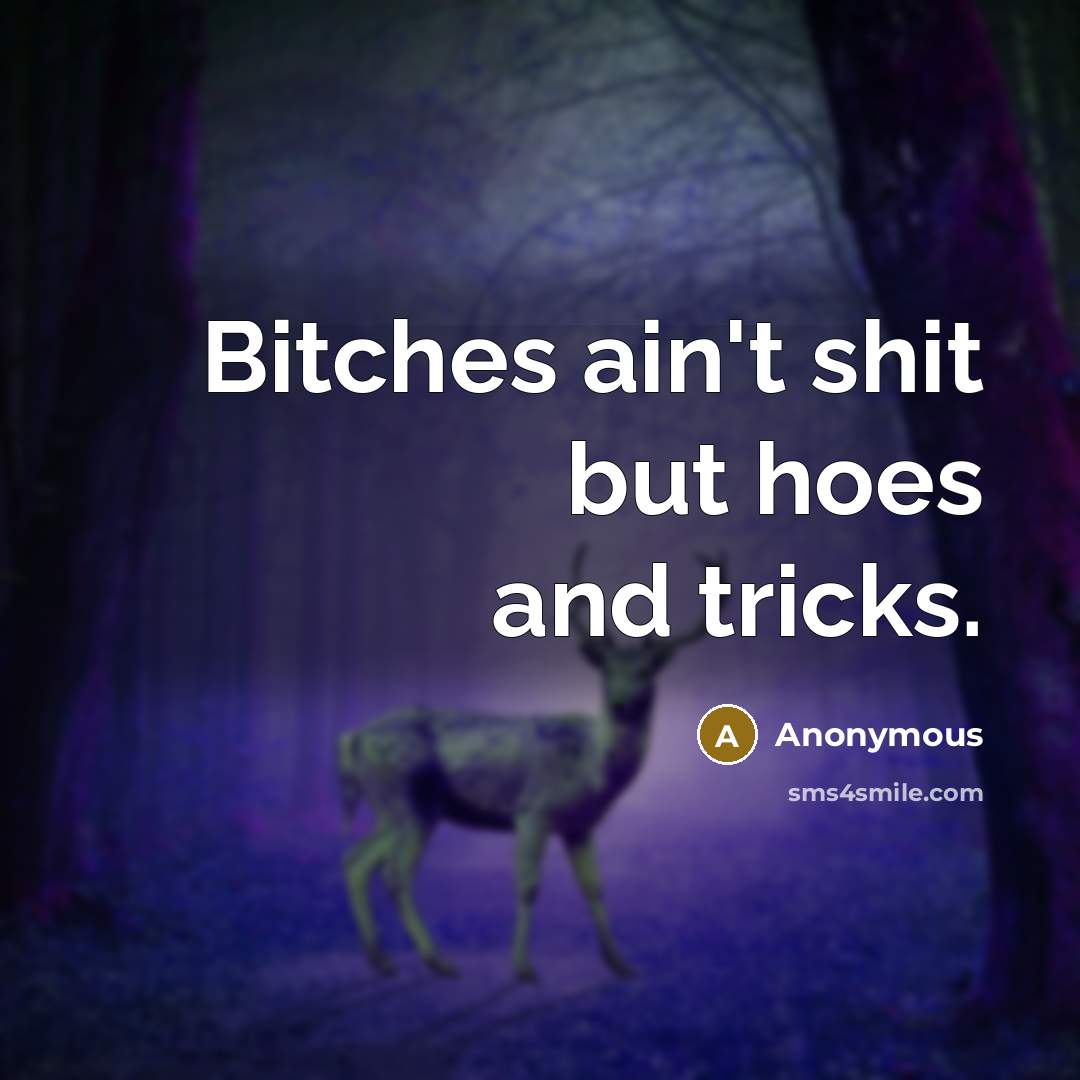 “Bitches ain't shit but hoes and tricks.” quote by Anonymous