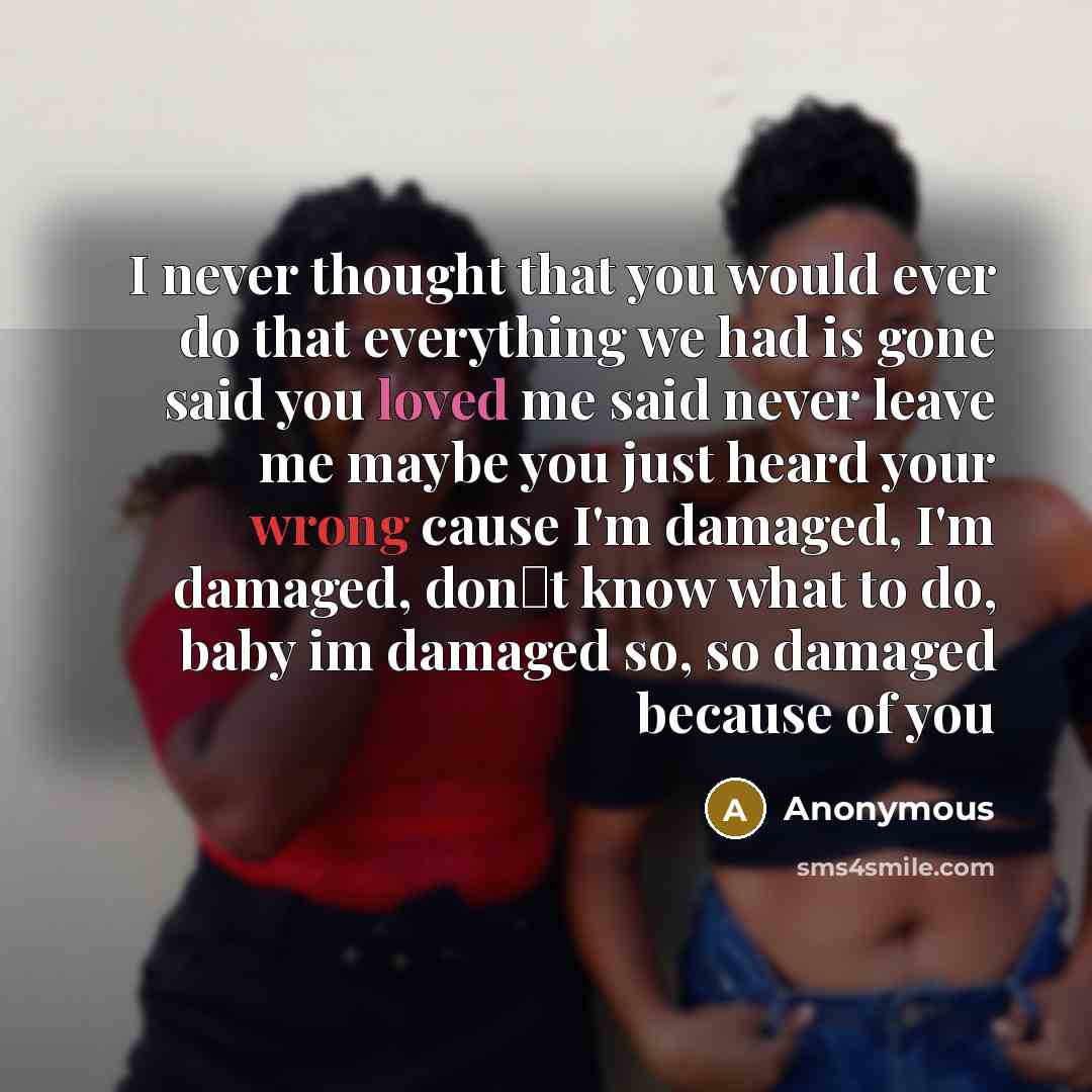 “I never thought that you would ever do that everything we had is gone said you loved me said never leave me maybe you just heard your wrong cause I'm damaged, I'm damaged, don�t know what to do, baby im damaged so, so damaged because of you” quote by Anonymous