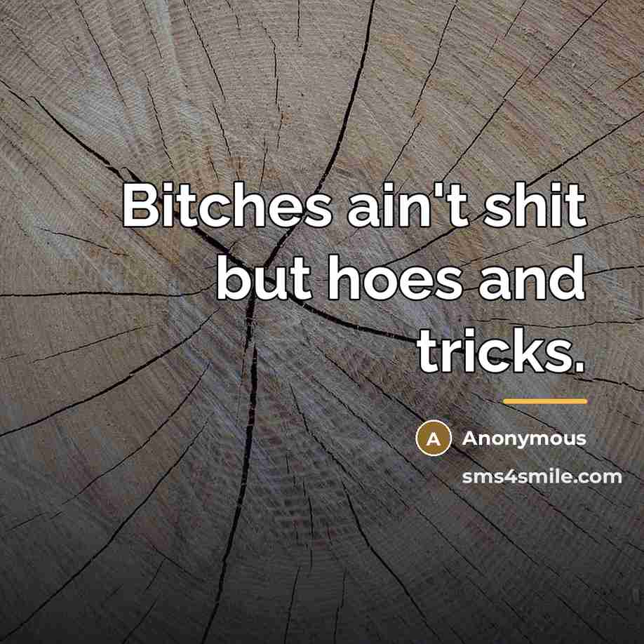 “Bitches ain't shit but hoes and tricks.…” quote by Anonymous