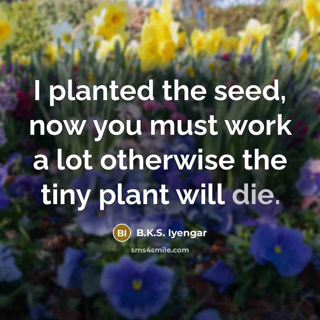 “I planted the seed, now you must work a lot…” quote by B.K.S. Iyengar
