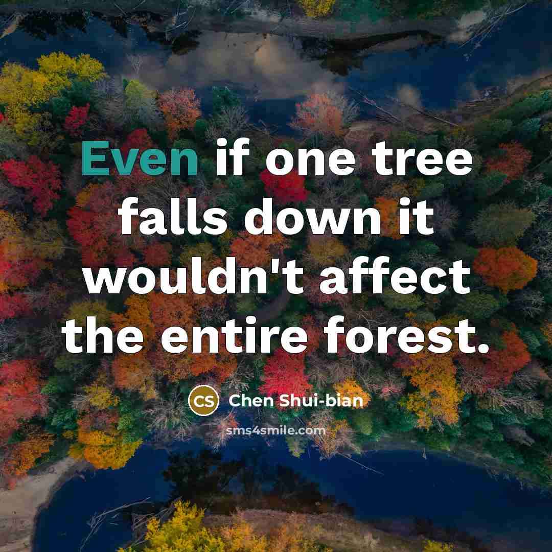 “Even if one tree falls down it wouldn't affect the entire forest.” quote by Chen Shui-bian
