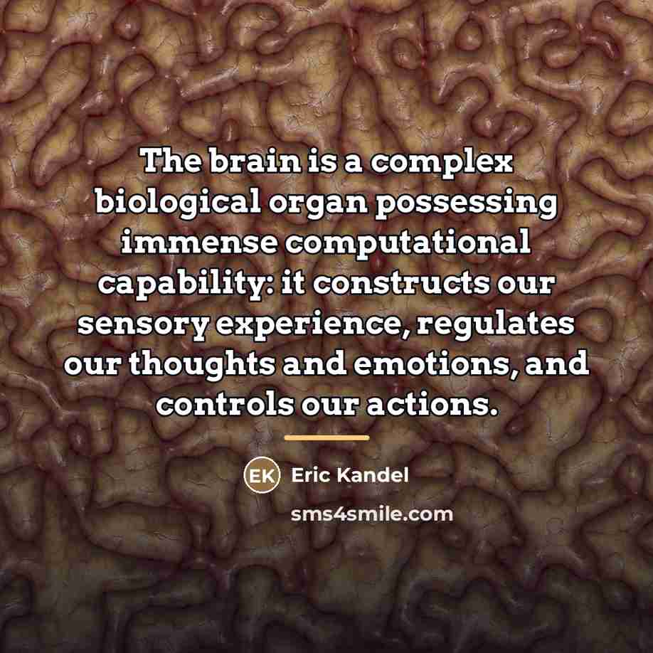 “The brain is a complex biological organ possessing immense computational…” quote by Eric Kandel