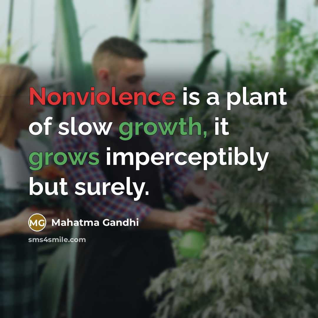 “Nonviolence is a plant of slow growth, it grows imperceptibly…” quote by Mahatma Gandhi