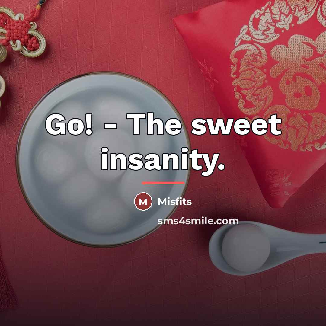 “Go! - The sweet insanity.…” quote by Misfits