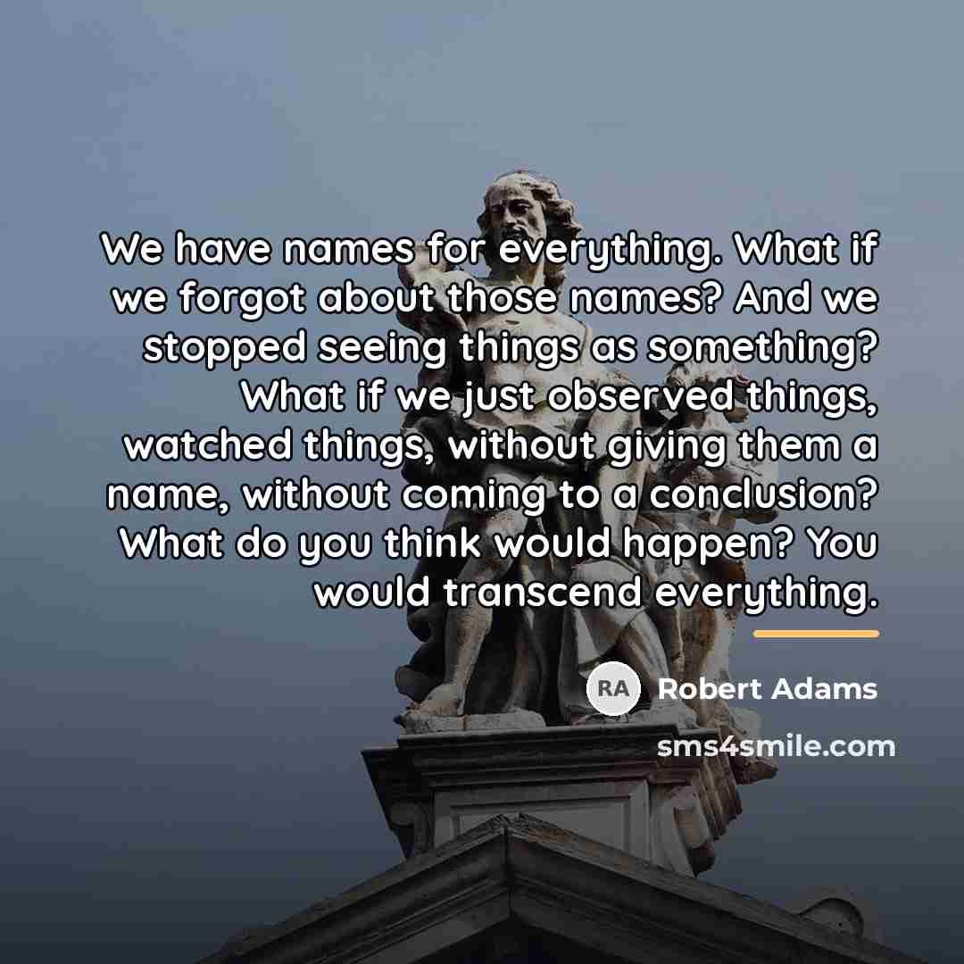 “We have names for everything. What if we forgot about…” quote by Robert Adams