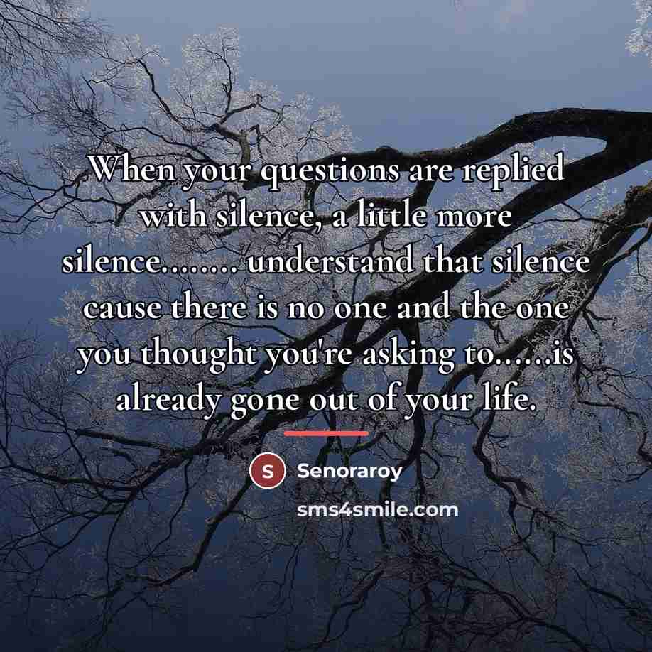 “When your questions are replied with silence, a little more…” quote by Senoraroy