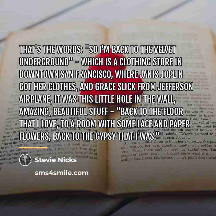 “That's the words: "So I'm back to the velvet underground"…” quote by Stevie Nicks