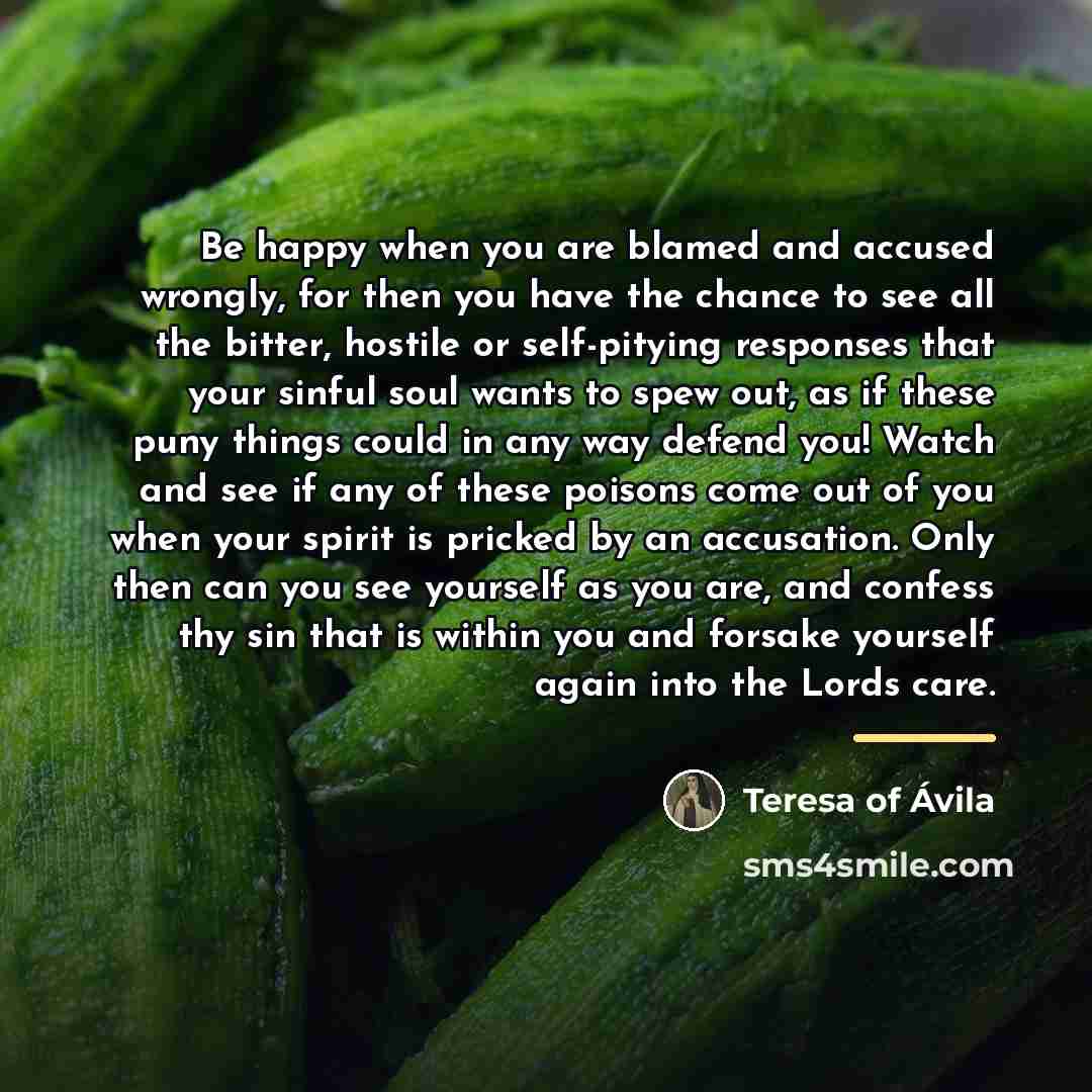 “Be happy when you are blamed and accused wrongly, for…” quote by Teresa of Avila