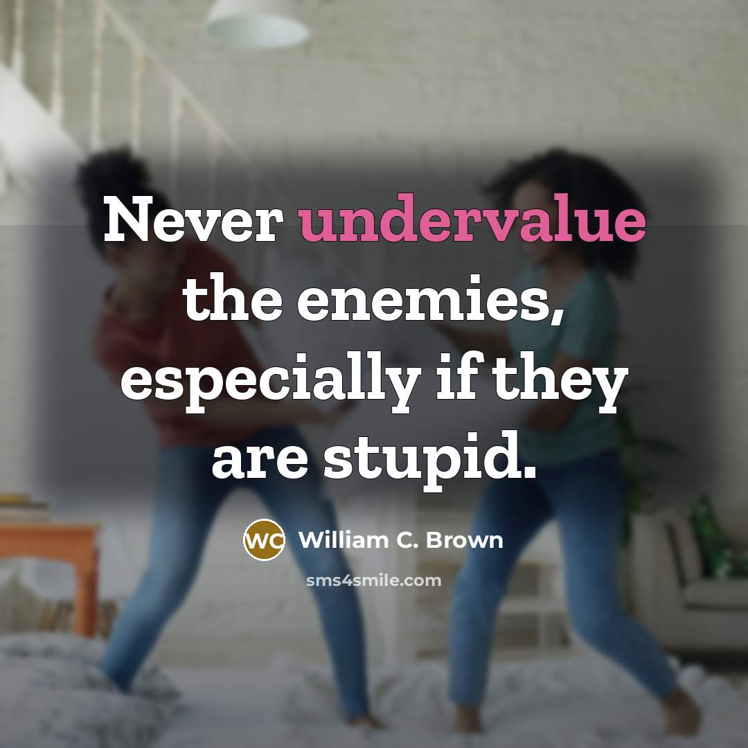 “Never undervalue the enemies, especially if they are stupid.” quote by William C. Brown