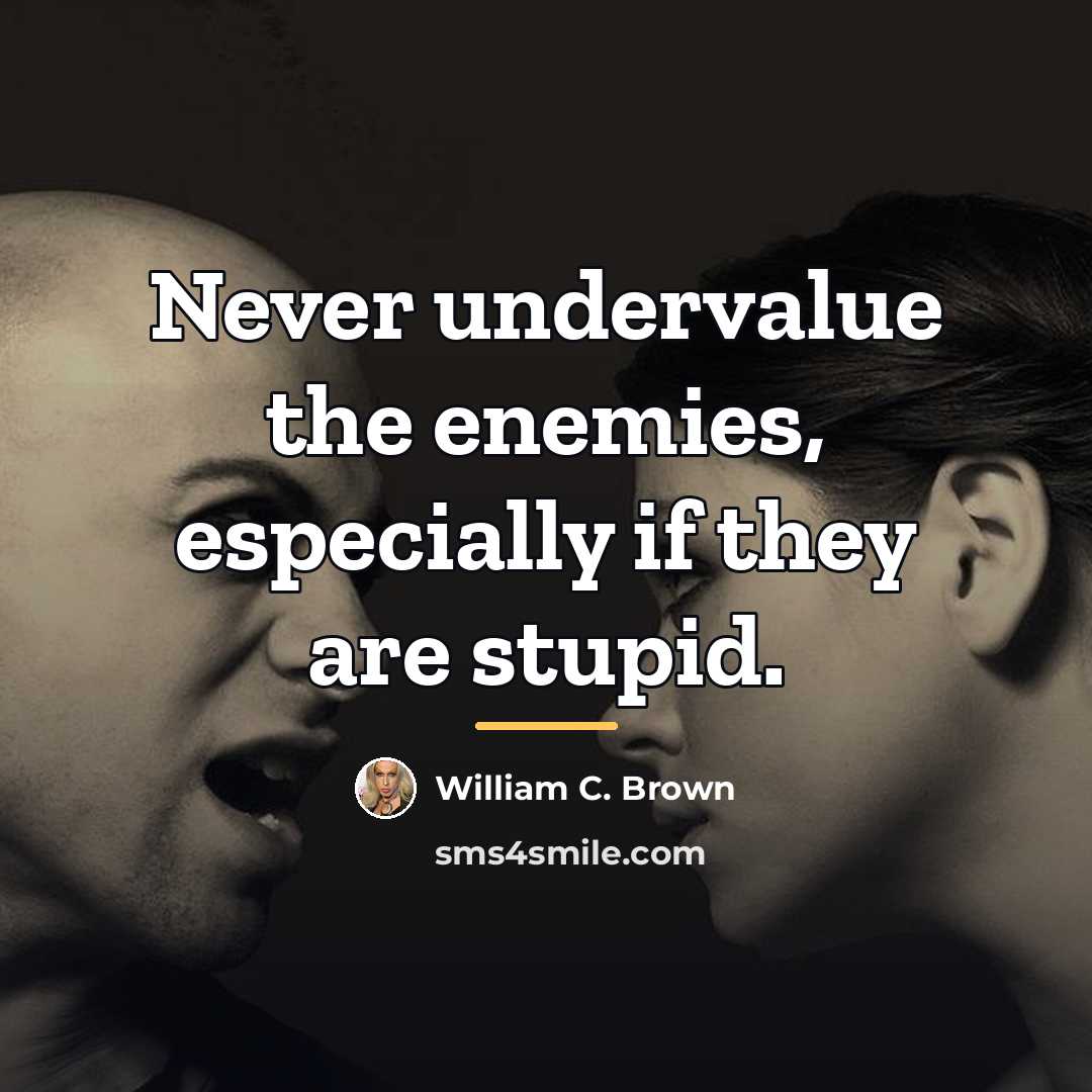 “Never undervalue the enemies, especially if they are stupid.…” quote by William C. Brown