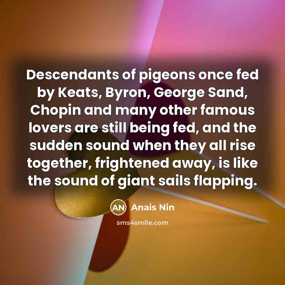 “Descendants of pigeons once fed by Keats, Byron, George Sand,…” quote by Anais Nin