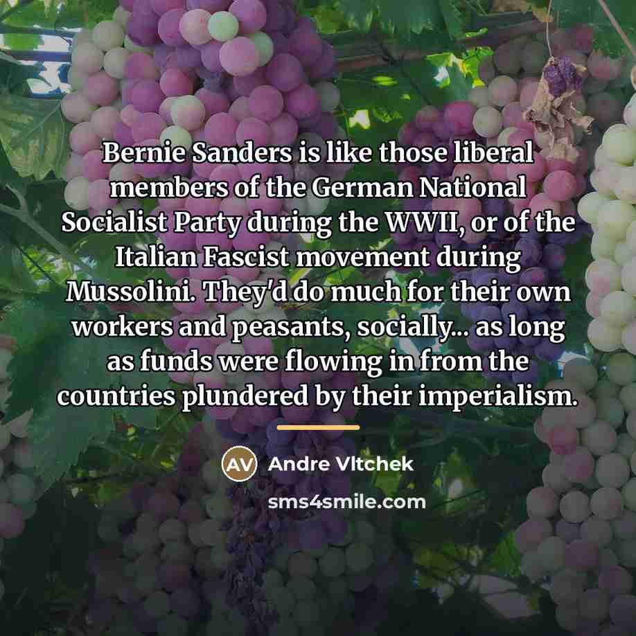 “Bernie Sanders is like those liberal members of the German…” quote by Andre Vltchek
