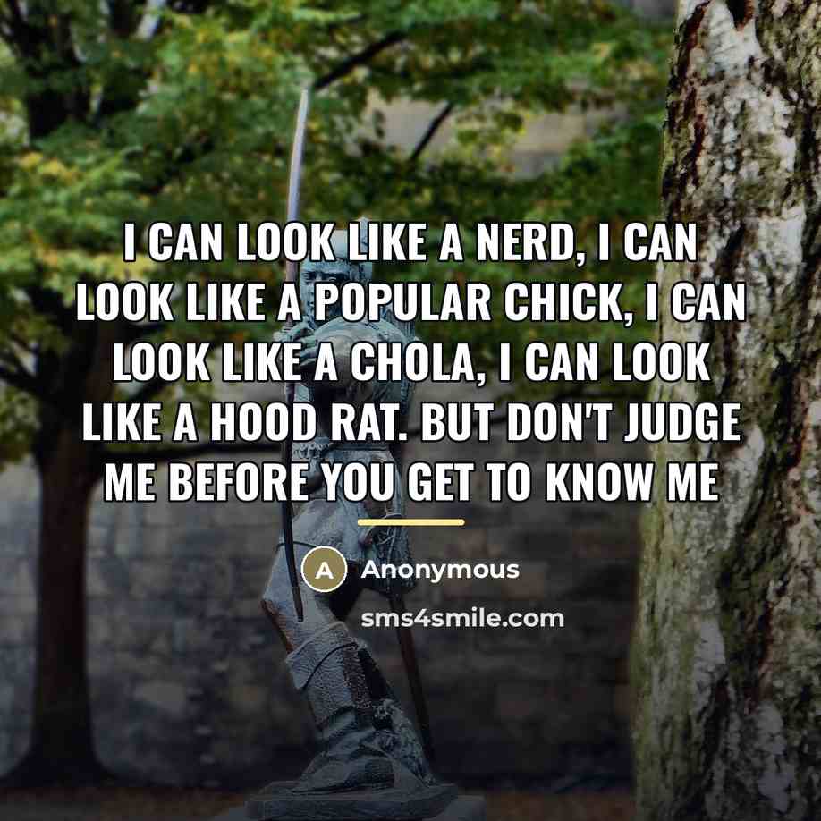 “I Can Look Like A Nerd, I Can Look Like…” quote by Anonymous