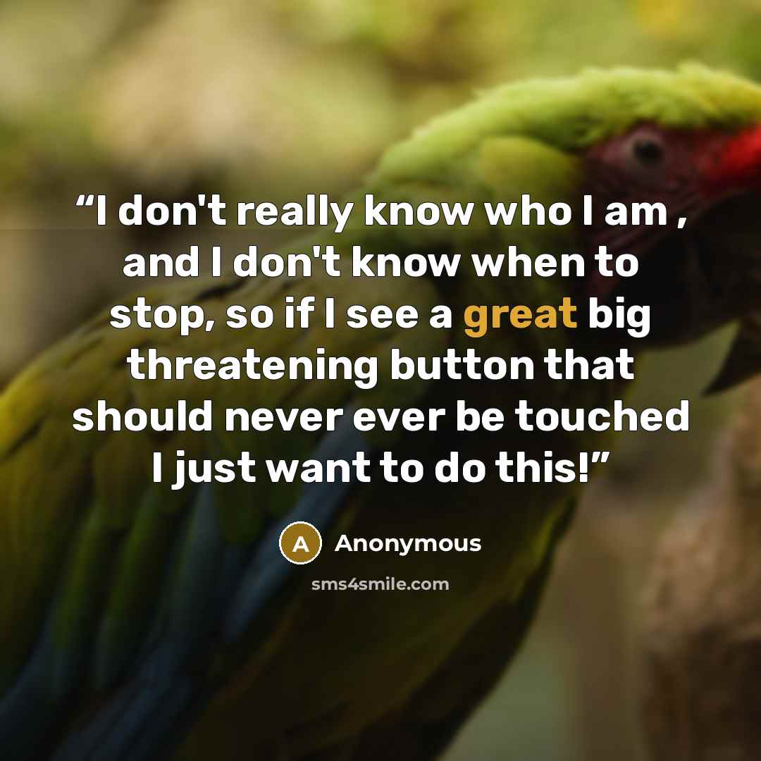 “I don't really know who I am , and I don't know when to stop, so if I see a great big threatening button that should never ever be touched I just want to do this!” quote by Anonymous