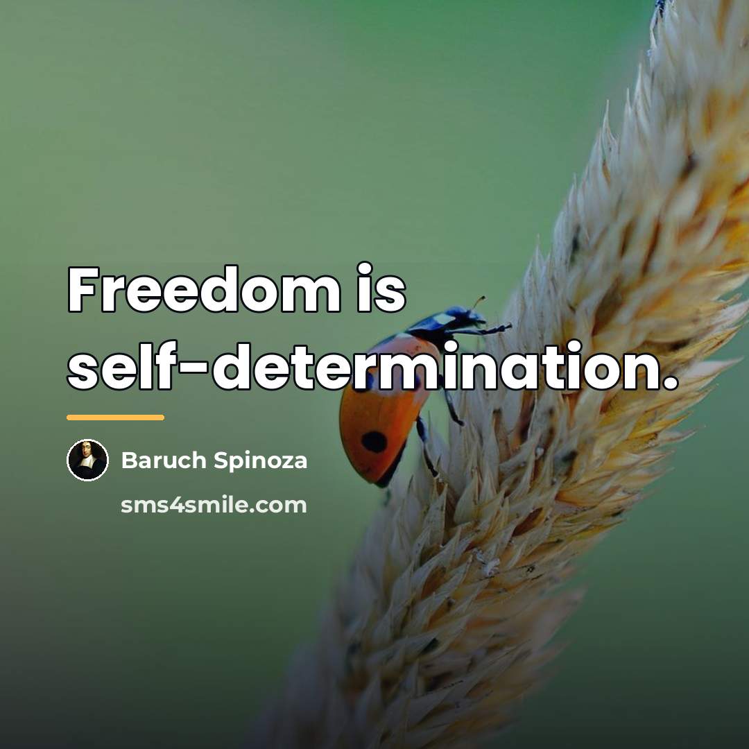“Freedom is self-determination.…” quote by Baruch Spinoza