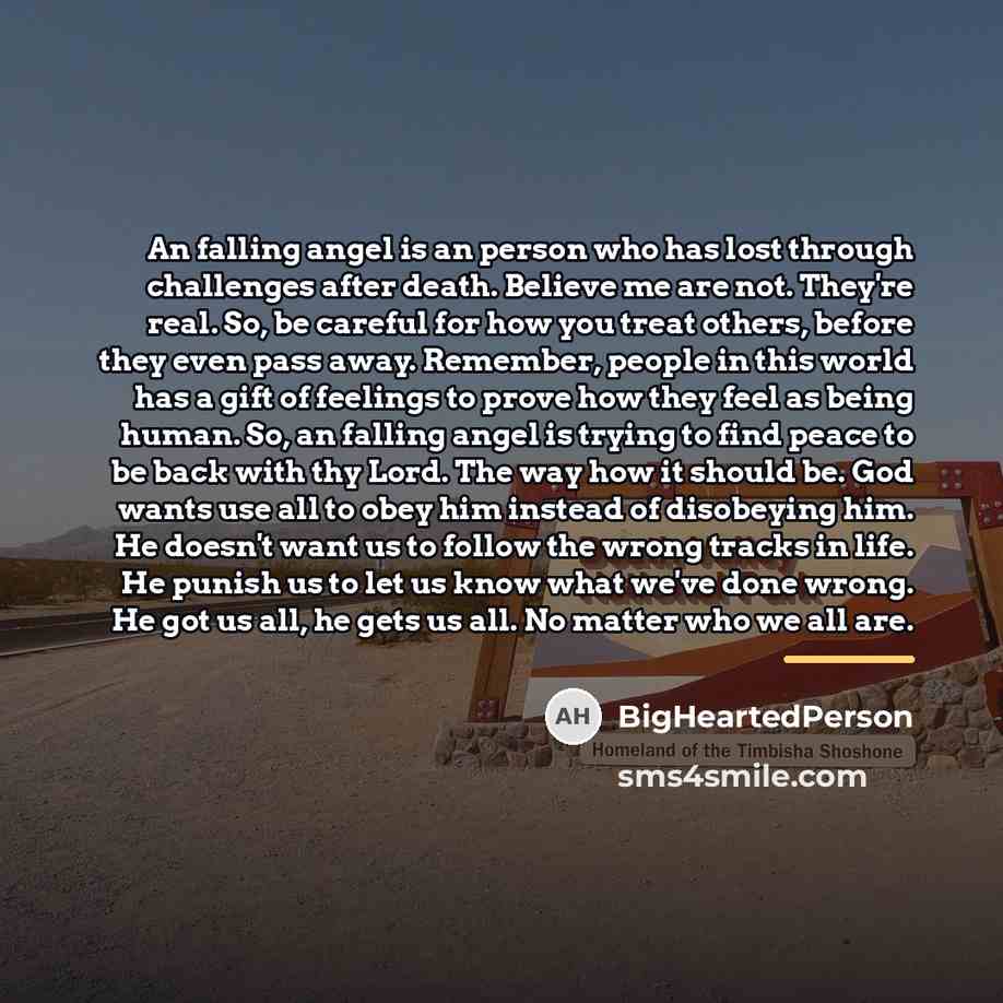 “An falling angel is an person who has lost through…” quote by BigHeartedPerson