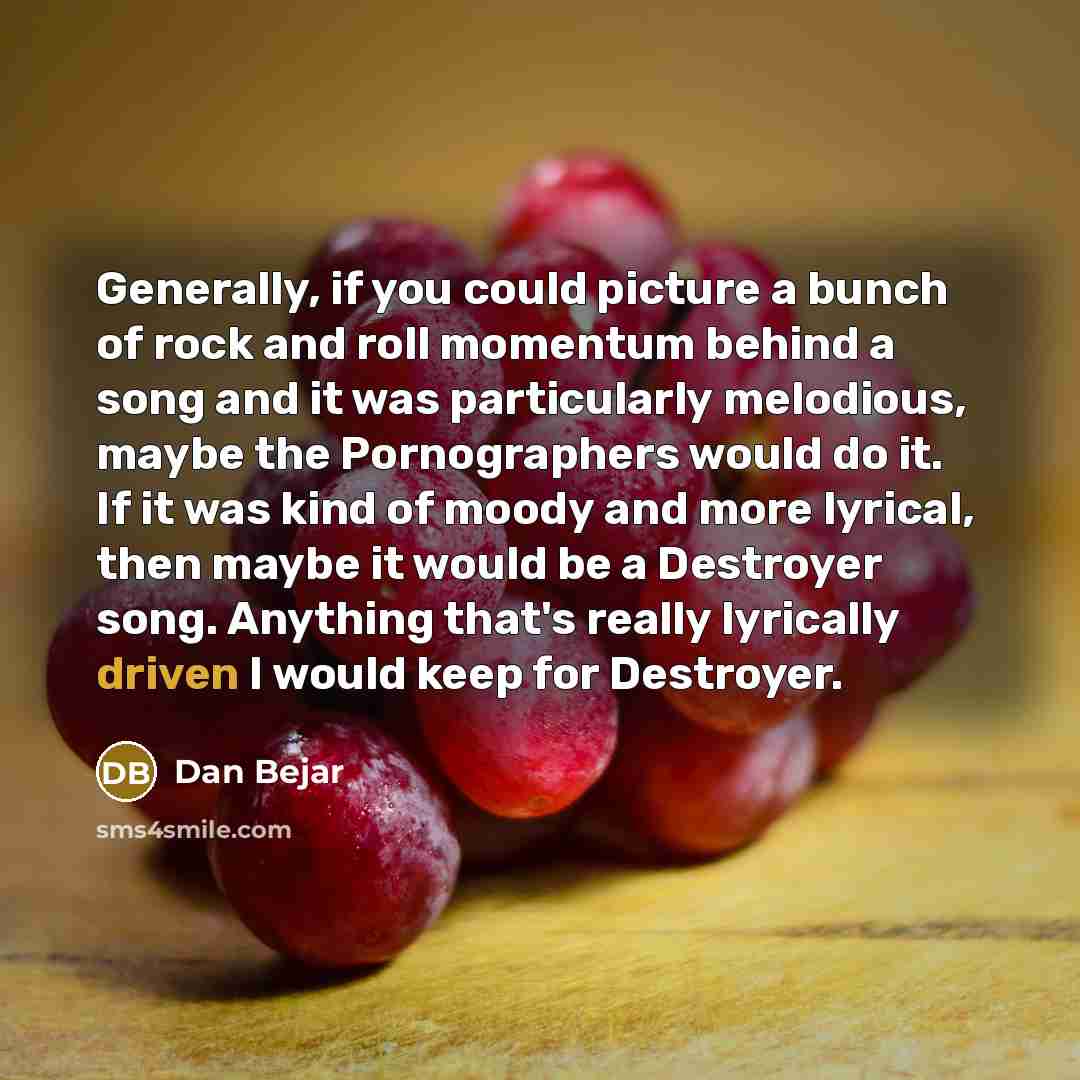“Generally, if you could picture a bunch of rock and…” quote by Dan Bejar