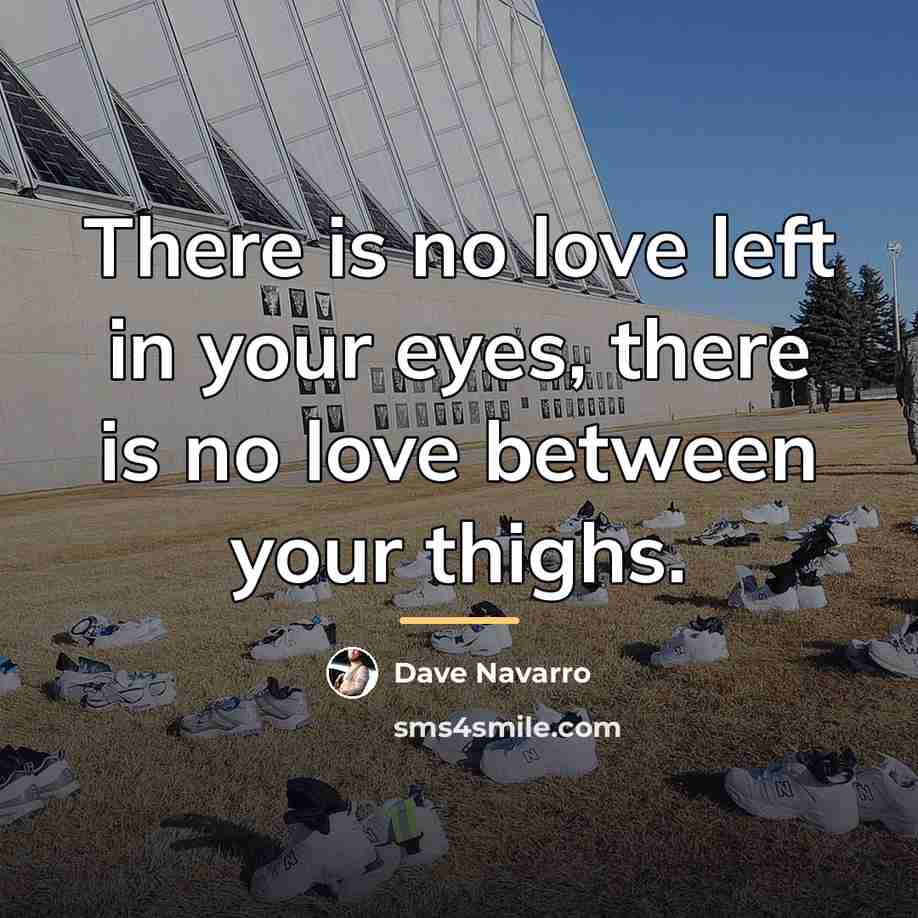 “There is no love left in your eyes, there is…” quote by Dave Navarro