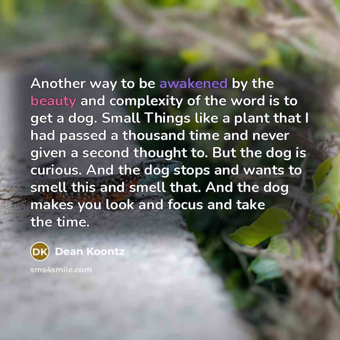“Another way to be awakened by the beauty and complexity of the word is to get a dog. Small Things like a plant that I had passed a thousand time and never given a second thought to. But the dog is curious. And the dog stops and wants to smell this and smell that. And the dog makes you look and…” quote by Dean Koontz