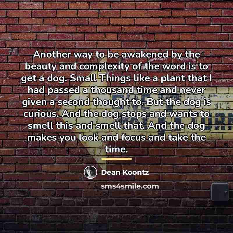 “Another way to be awakened by the beauty and complexity…” quote by Dean Koontz