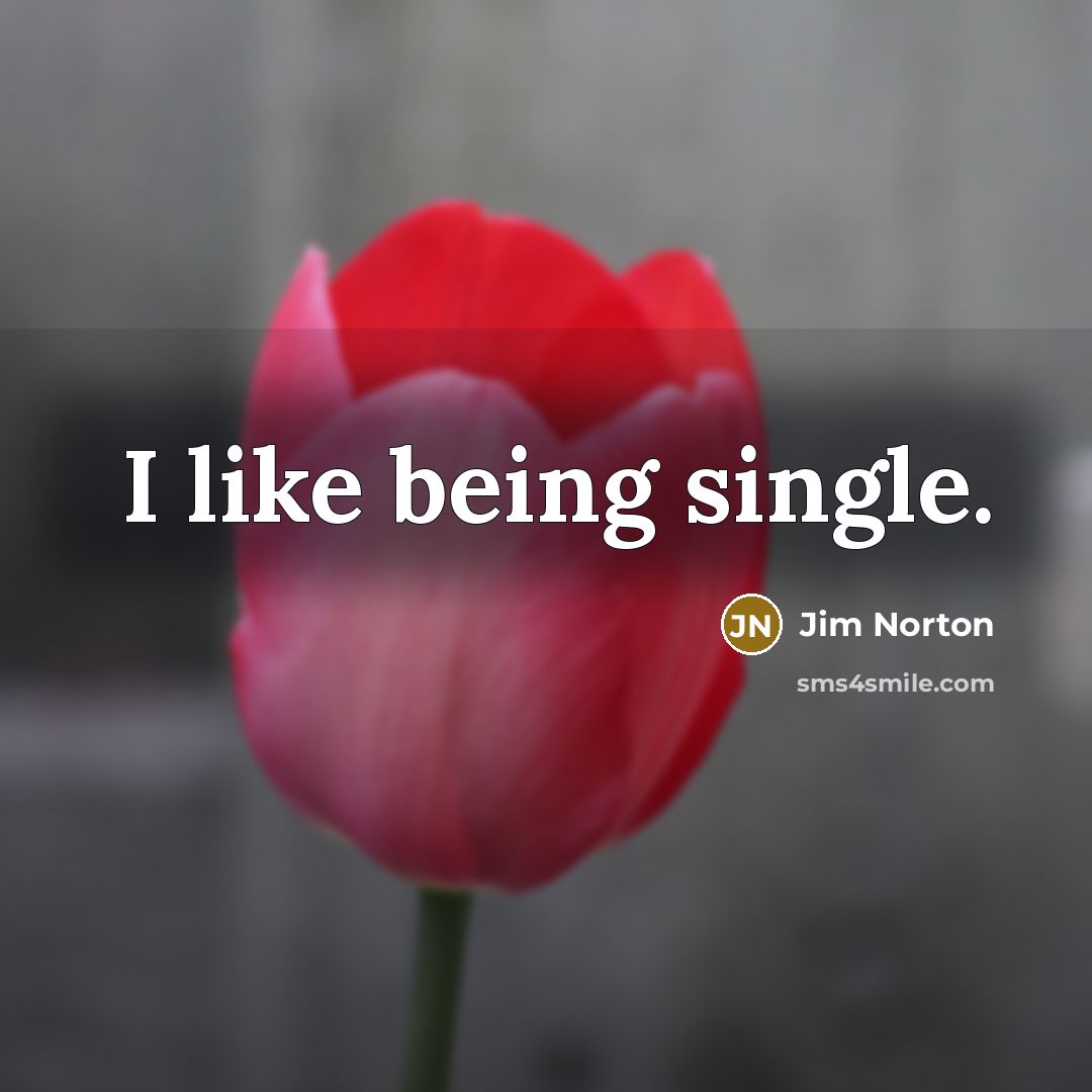 “I like being single.…” quote by Jim Norton