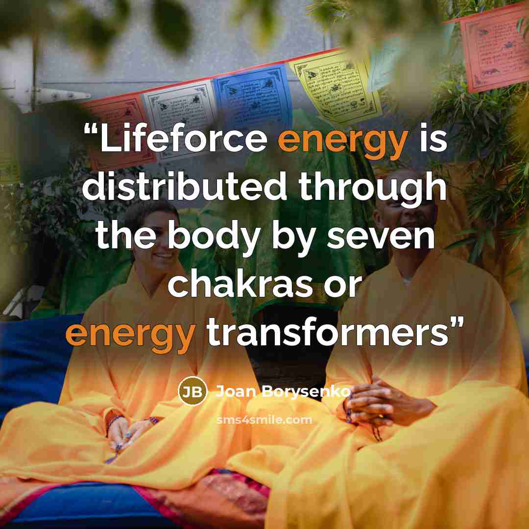 “Lifeforce energy is distributed through the body by seven chakras or energy transformers” quote by Joan Borysenko