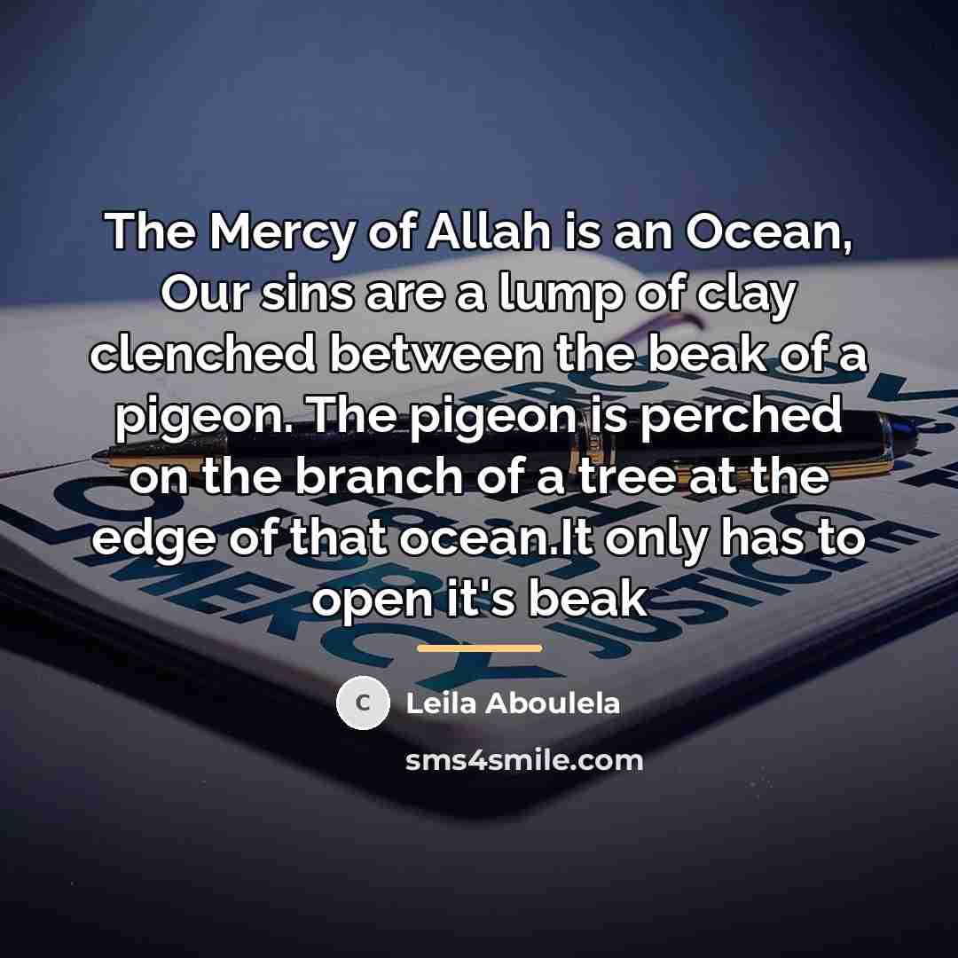 “The Mercy of Allah is an Ocean, Our sins are…” quote by Leila Aboulela