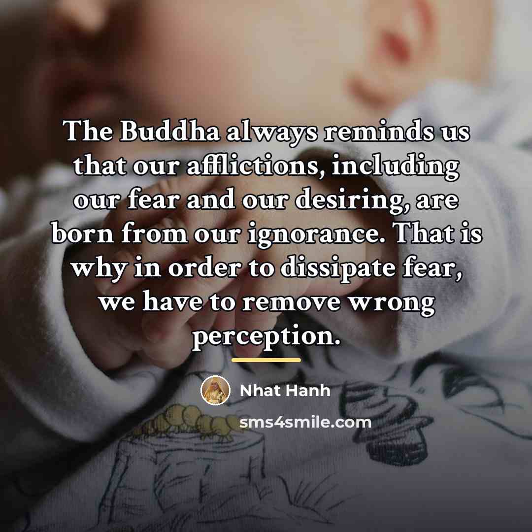 “The Buddha always reminds us that our afflictions, including our…” quote by Nhat Hanh