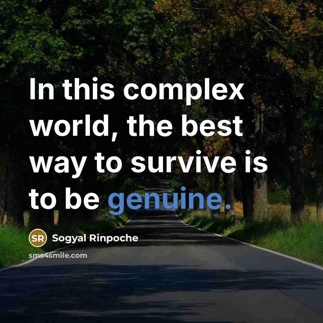 “In this complex world, the best way to survive is…” quote by Sogyal Rinpoche
