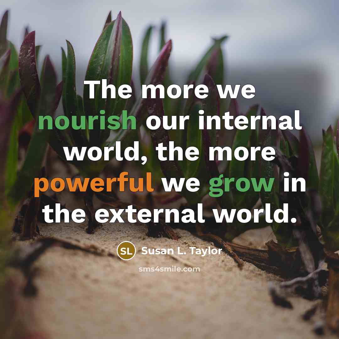 “The more we nourish our internal world, the more powerful we grow in the external world.” quote by Susan L. Taylor