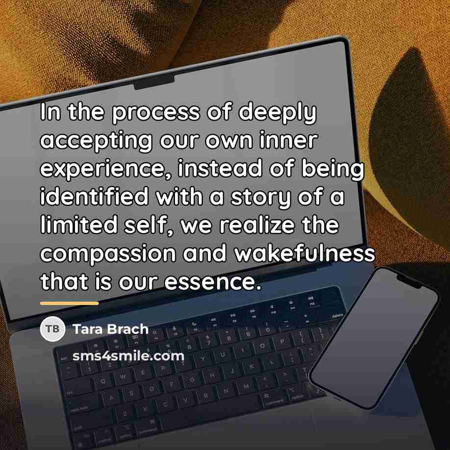 “In the process of deeply accepting our own inner experience,…” quote by Tara Brach