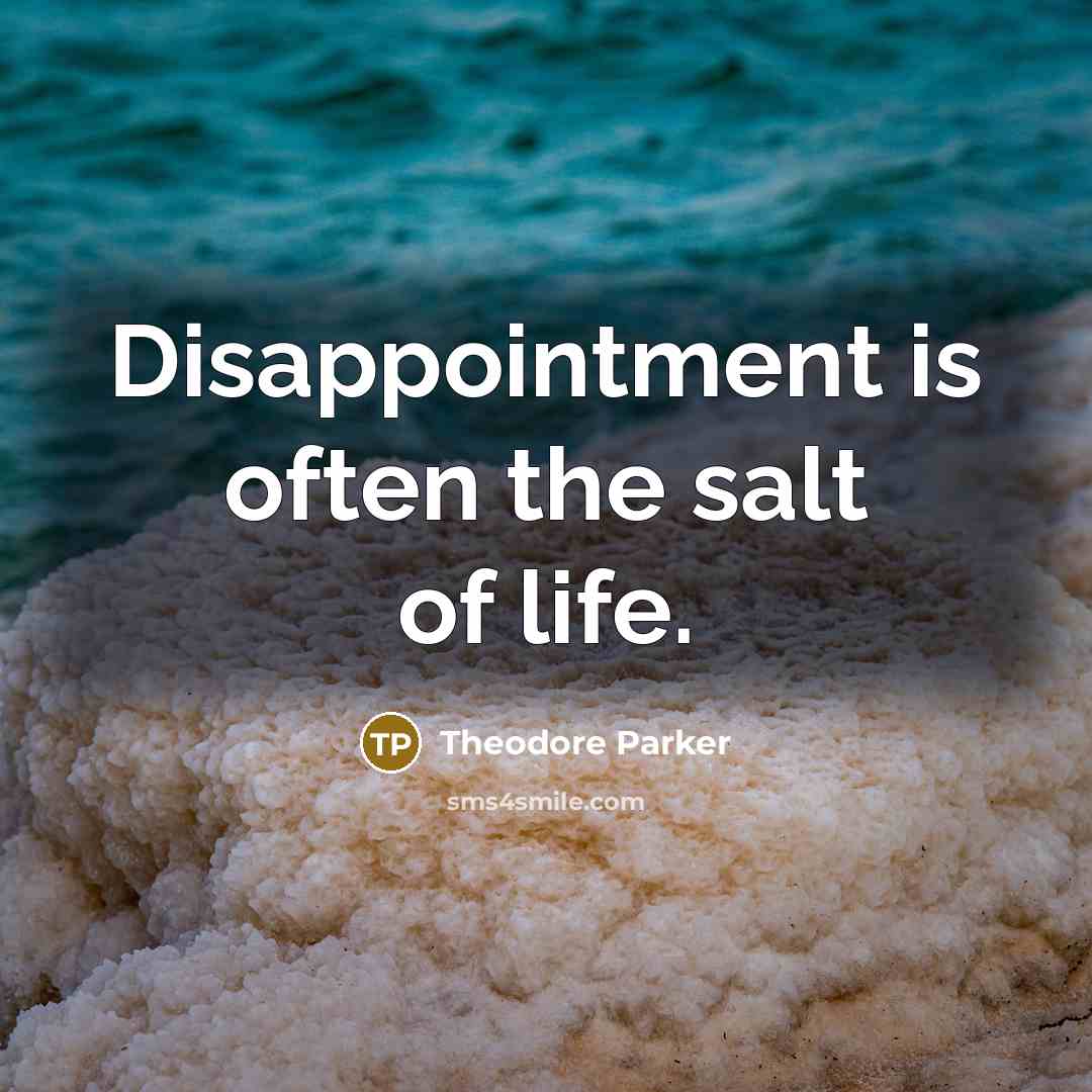 “Disappointment is often the salt of life.…” quote by Theodore Parker