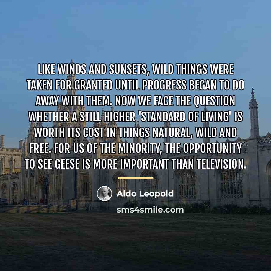 “Like winds and sunsets, wild things were taken for granted…” quote by Aldo Leopold