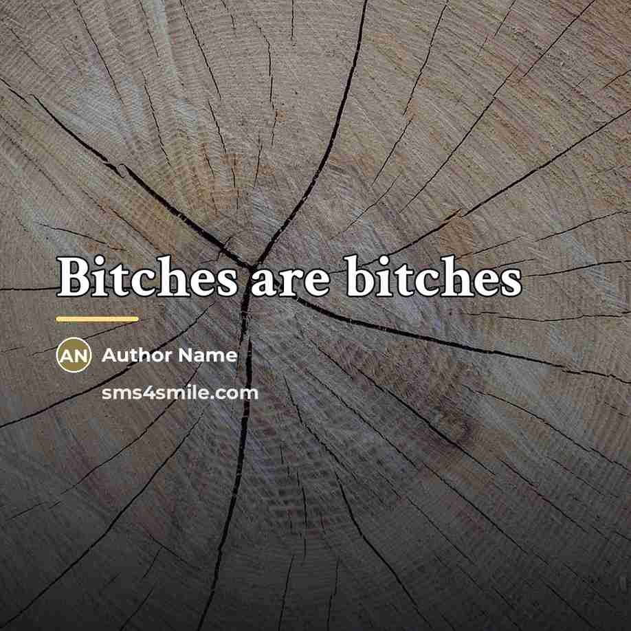 “Bitches are bitches…” quote by Author Name