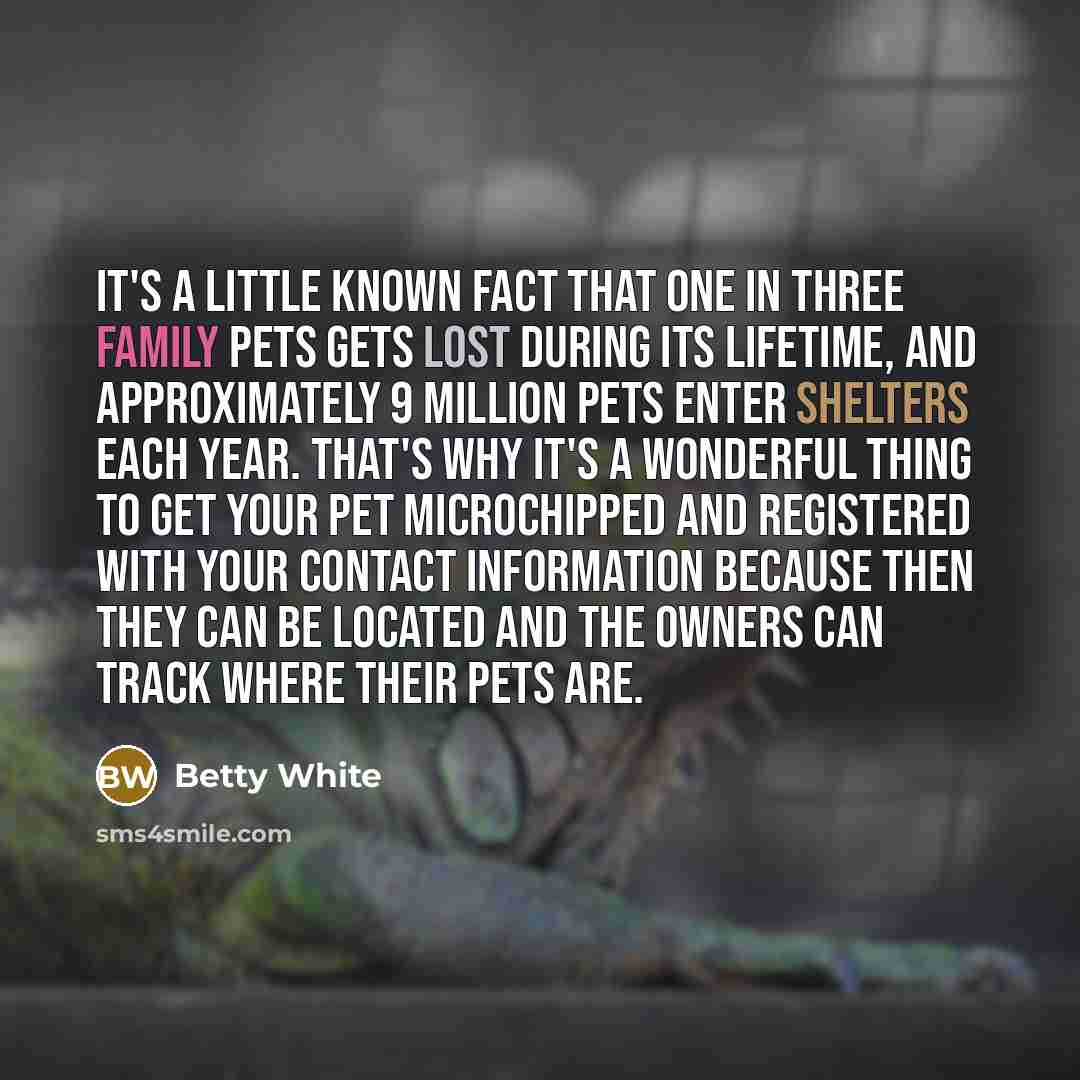 “It's a little known fact that one in three family pets gets lost during its lifetime, and approximately 9 million pets enter shelters each year. That's why it's a wonderful thing to get your pet microchipped and registered with your contact information because then they can be located and the…” quote by Betty White