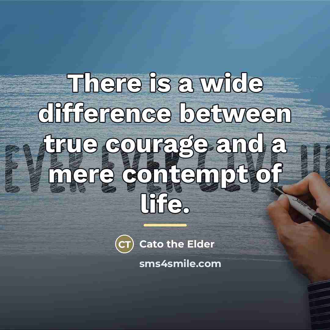 “There is a wide difference between true courage and a…” quote by Cato the Elder