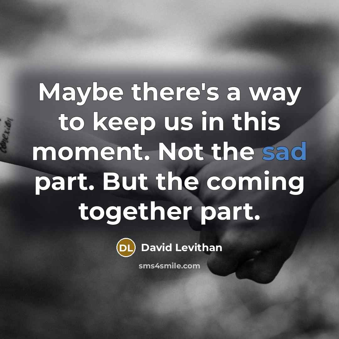 “Maybe there's a way to keep us in this moment. Not the sad part. But the coming together part.” quote by David Levithan