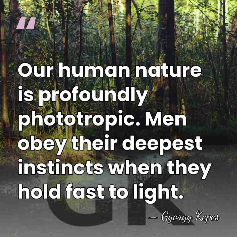 Our human nature is profoundly phototropic. Men obey their deepest instincts when&hellip; - Gyorgy Kepes