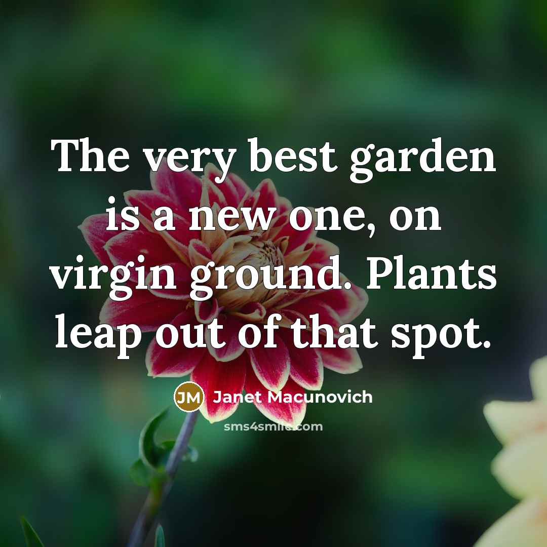 “The very best garden is a new one, on virgin ground. Plants leap out of that spot.” quote by Janet Macunovich