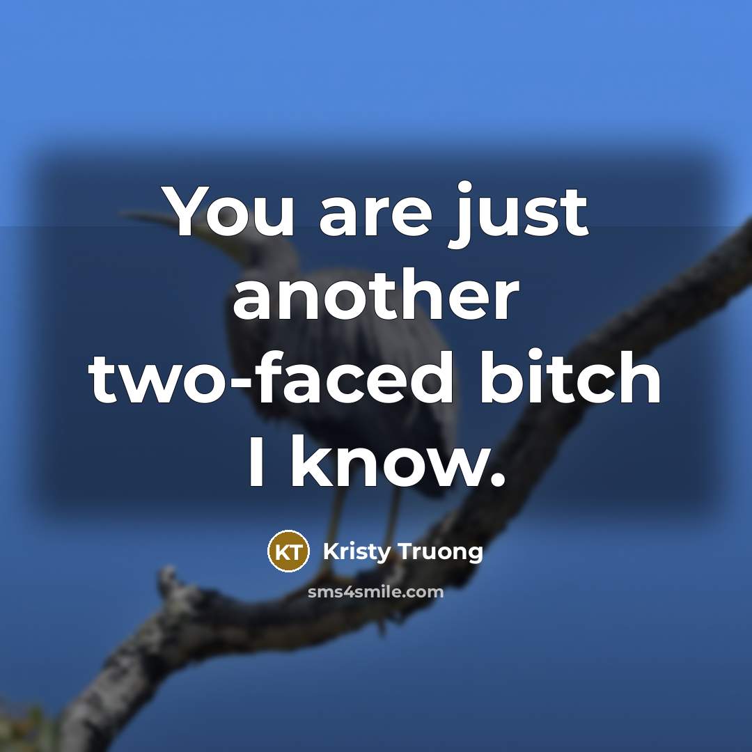 “You are just another two-faced bitch I know.…” quote by Kristy Truong