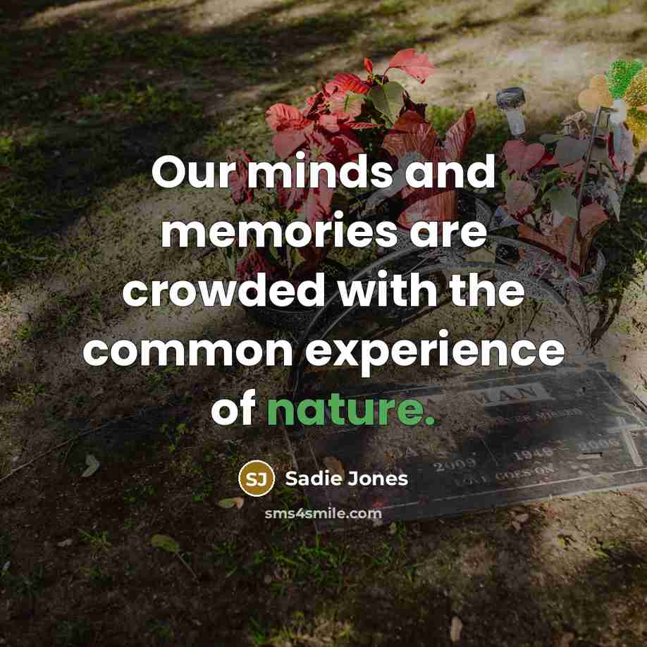 “Our minds and memories are crowded with the common experience…” quote by Sadie Jones