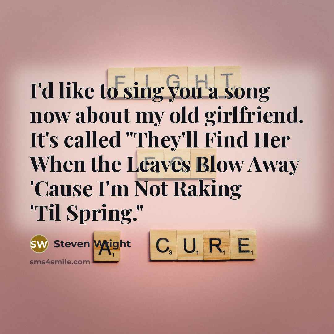 “I'd like to sing you a song now about my…” quote by Steven Wright