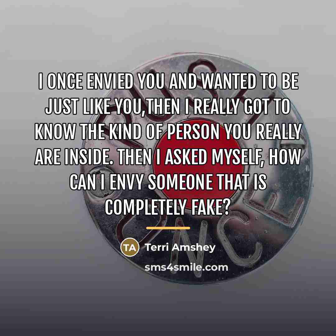 “I once Envied you and wanted to be just like…” quote by Terri Amshey