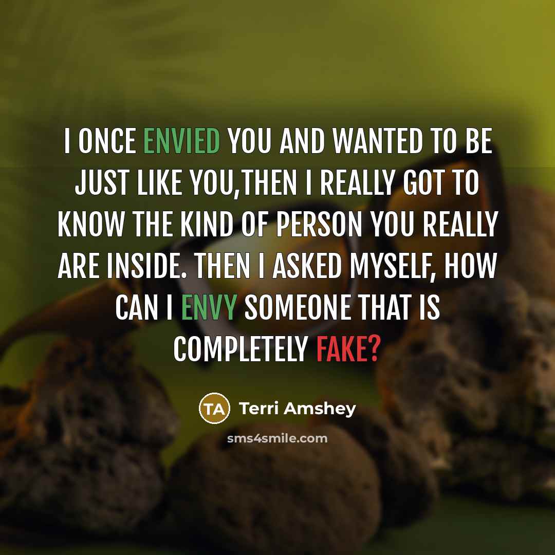 “I once Envied you and wanted to be just like you,then I really got to know the kind of person you really are inside. Then I asked myself, How can I ENVY someone that is completely FAKE?” quote by Terri Amshey