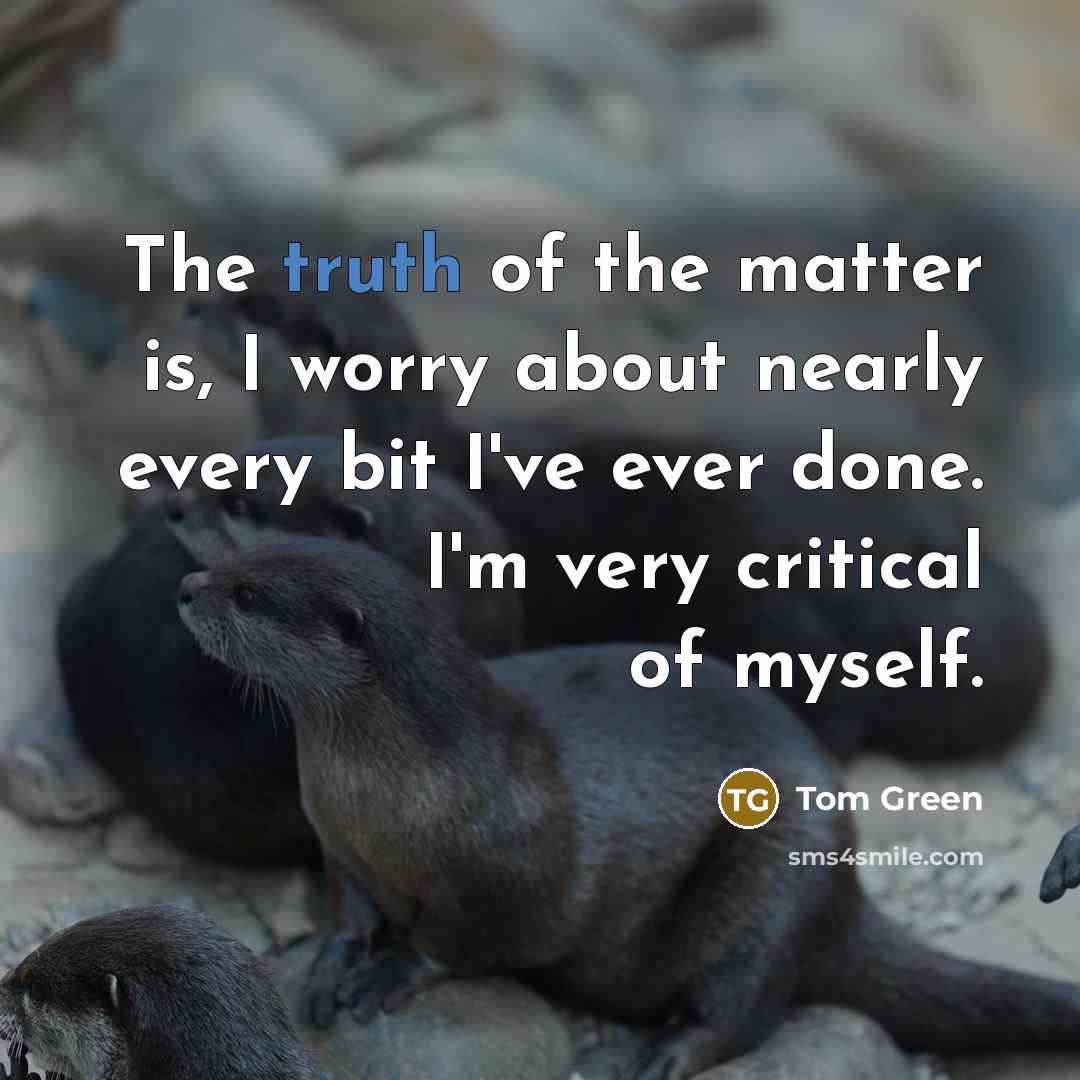 “The truth of the matter is, I worry about nearly every bit I've ever done. I'm very critical of myself.” quote by Tom Green