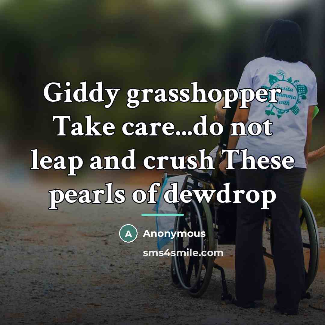 “Giddy grasshopper Take care...do not leap and crush These pearls…” quote by Anonymous