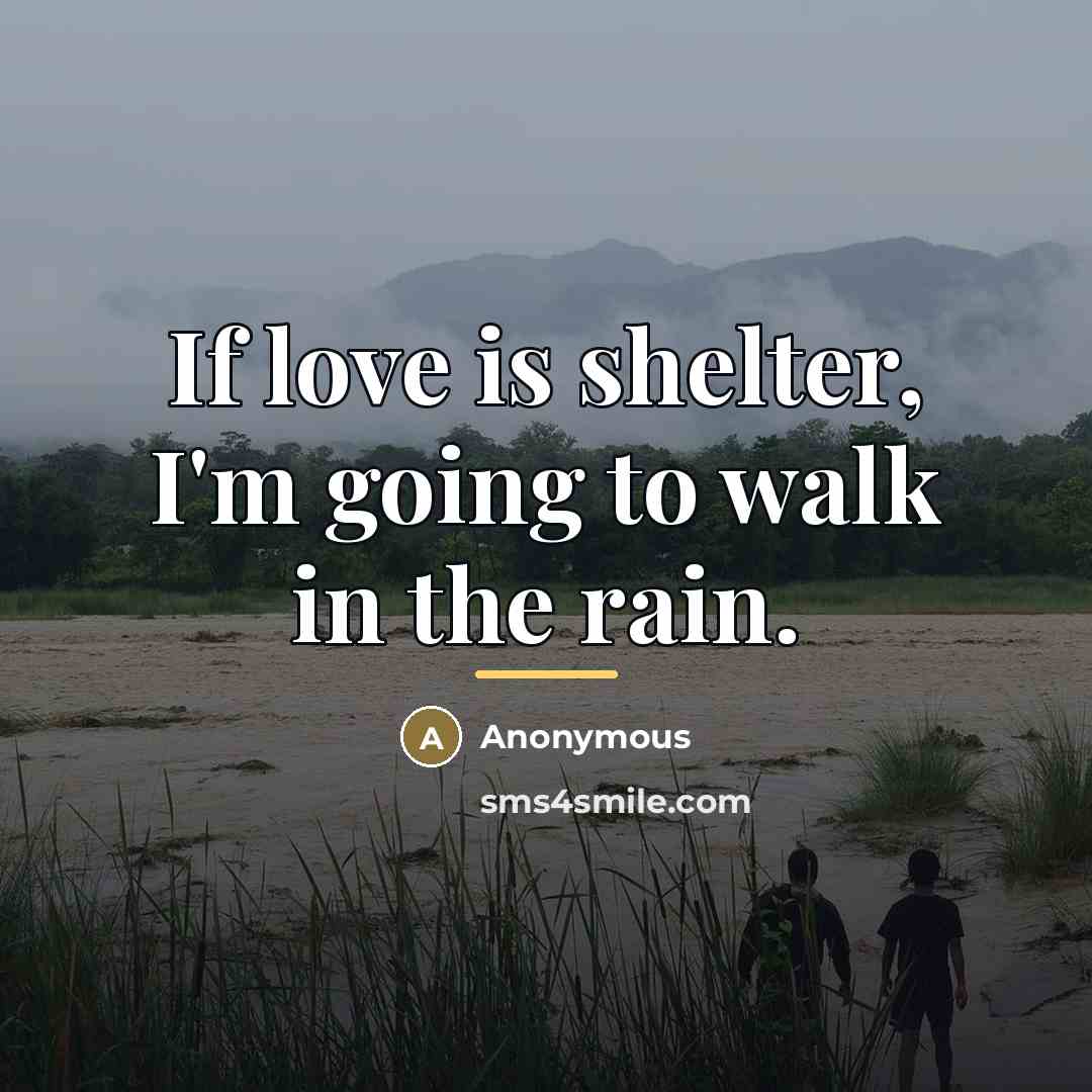 “If love is shelter, I'm going to walk in the…” quote by Anonymous