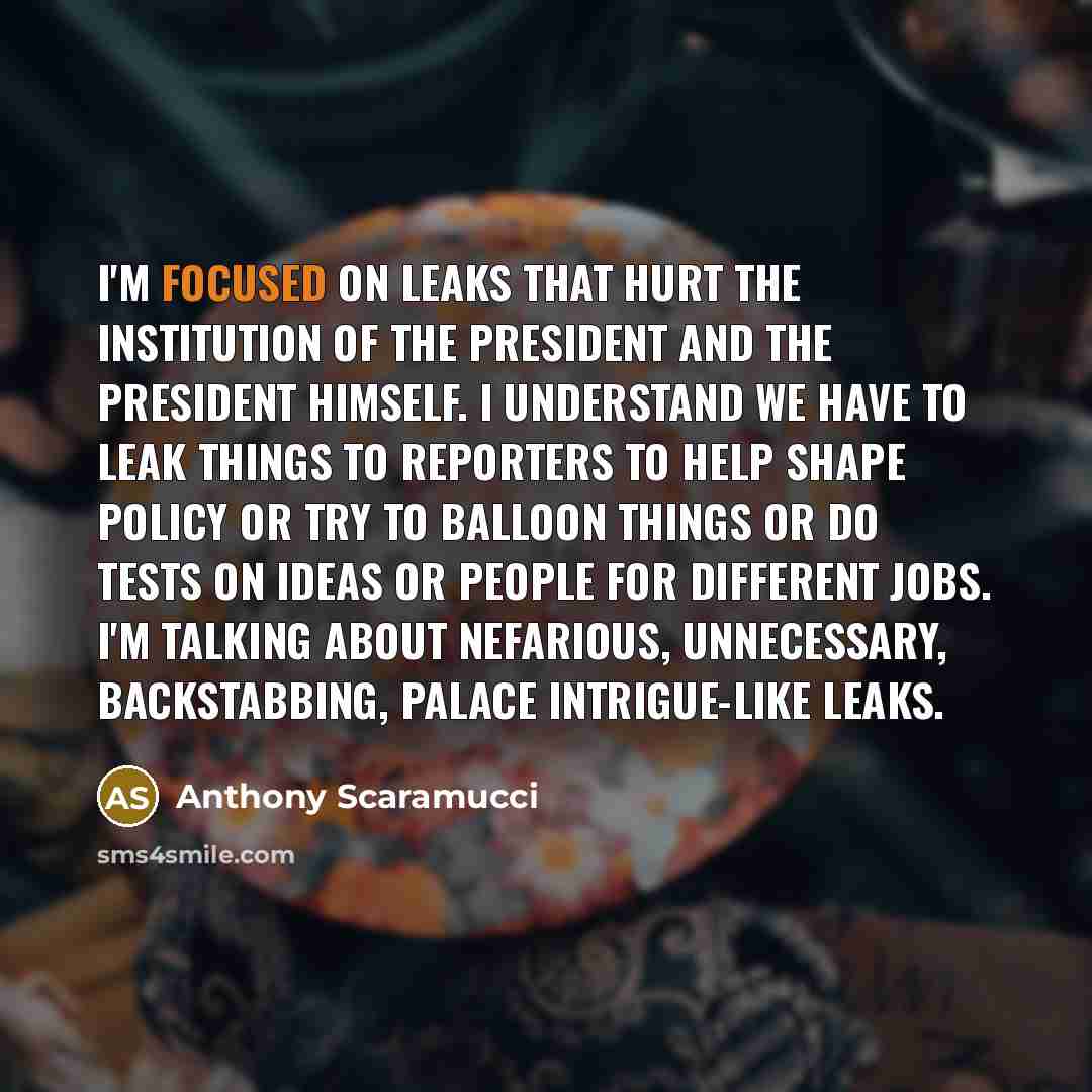 “I'm focused on leaks that hurt the institution of the…” quote by Anthony Scaramucci