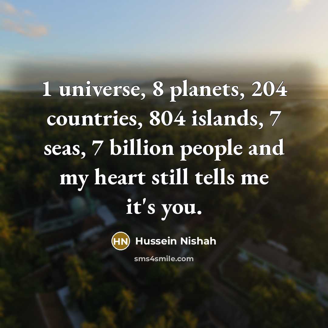 “1 universe, 8 planets, 204 countries, 804 islands, 7 seas,…” quote by Hussein Nishah