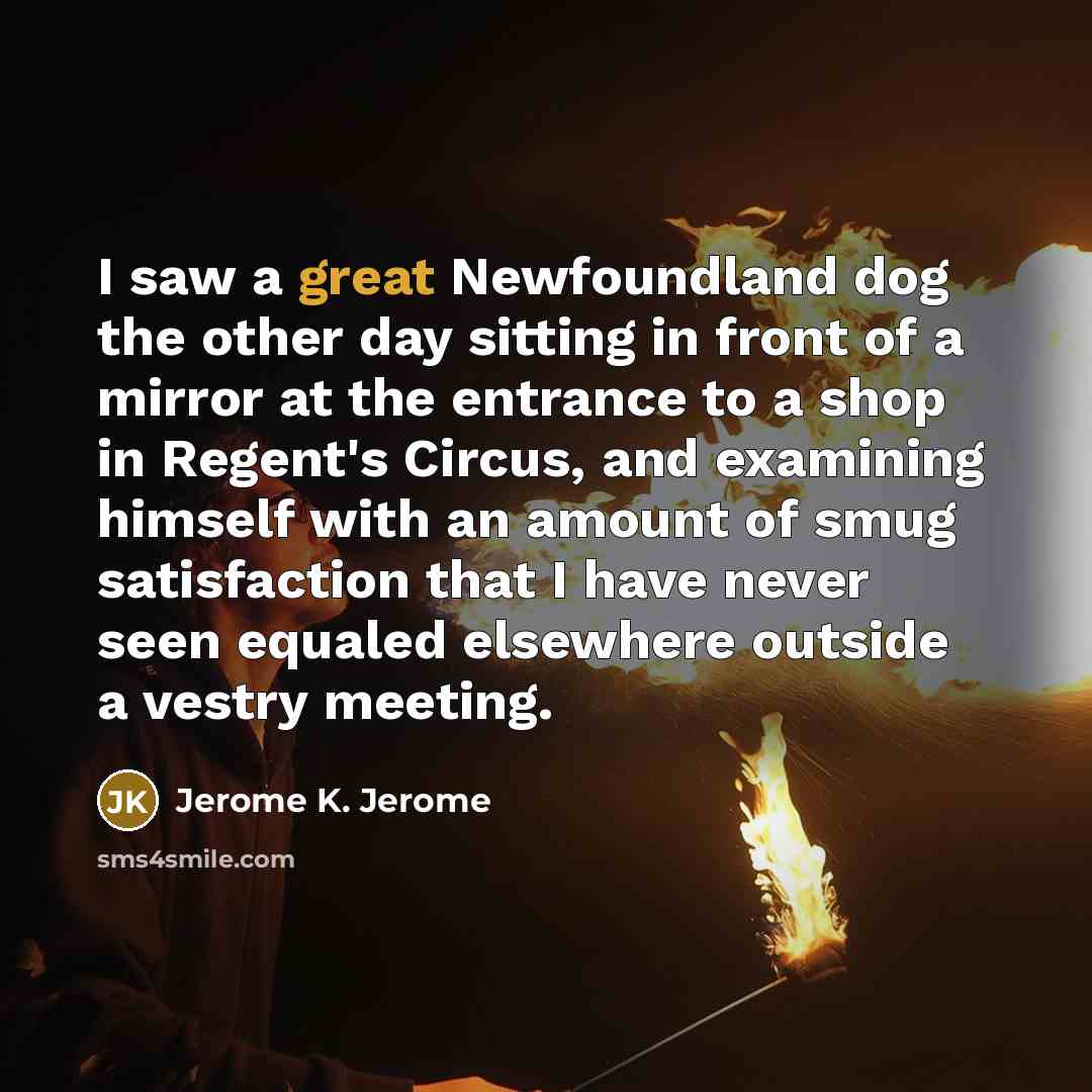 “I saw a great Newfoundland dog the other day sitting…” quote by Jerome K. Jerome